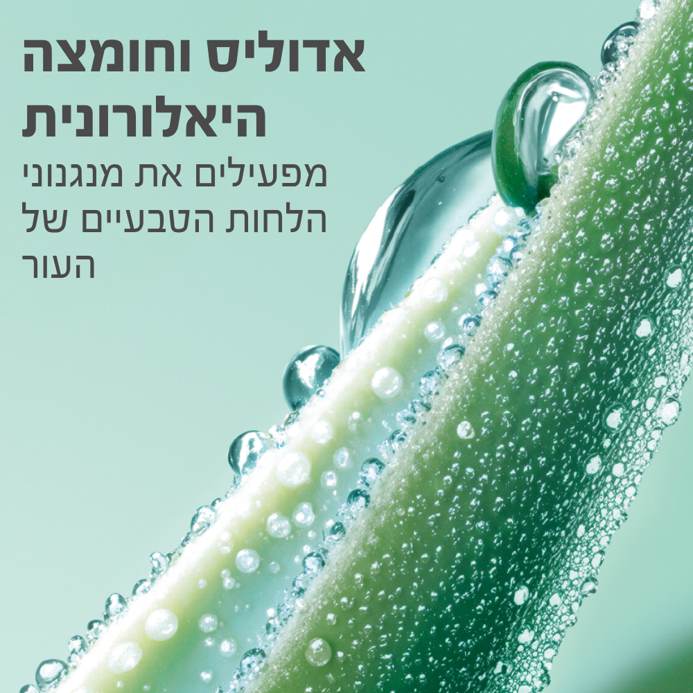 קרם ג'ל לחות לעור רגיל עד מעורב