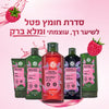 ערכת הברק האולטימטיבי לשיער