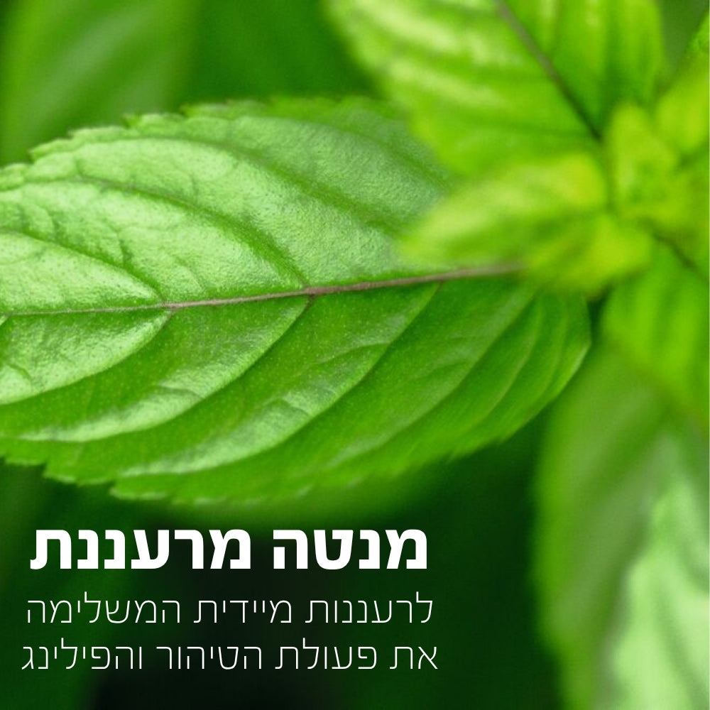 אבקת פילינג מטהרת לפנים