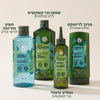 הערכה לטיפול בקשקשים ולטיהור הקרקפת