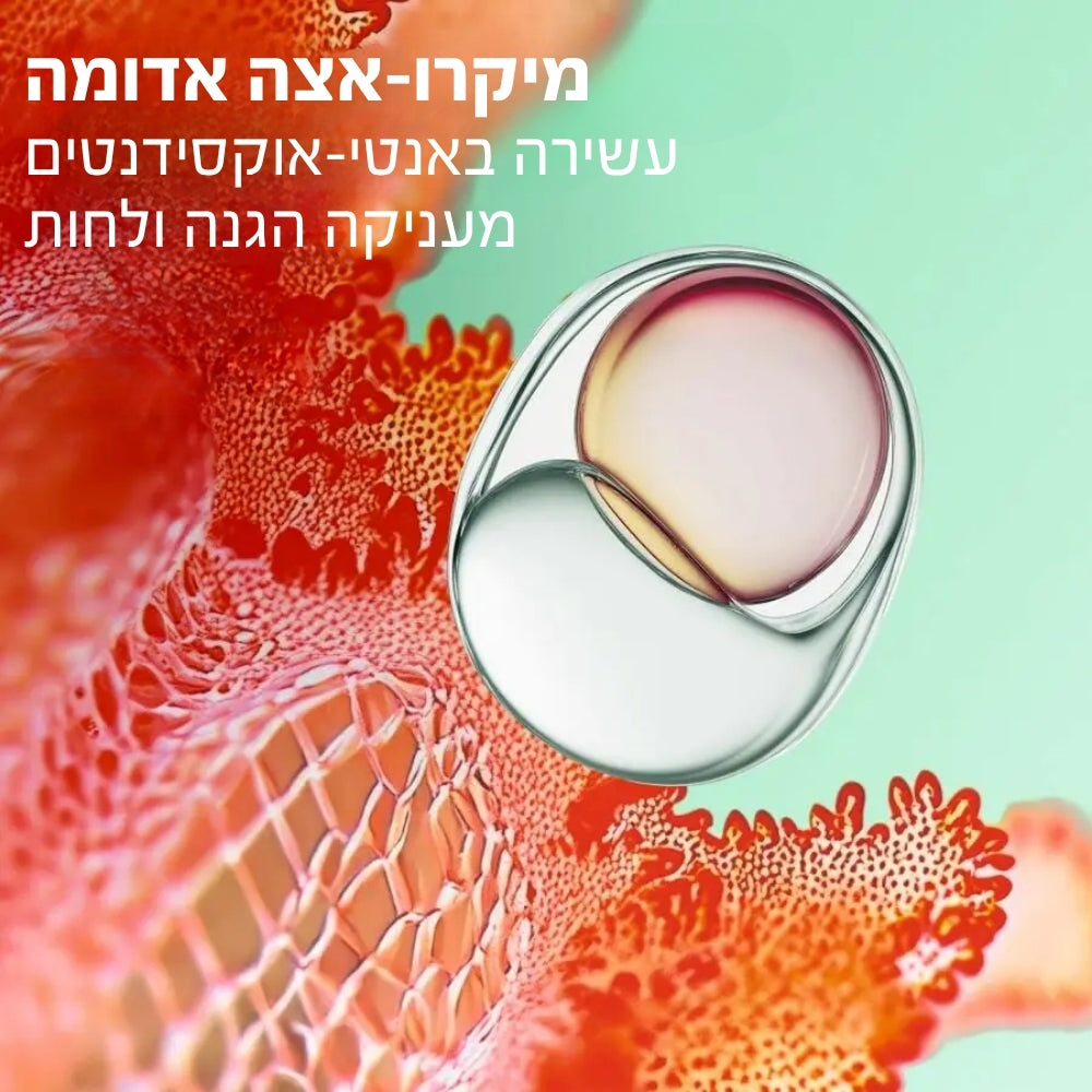 ספריי הגנה לפנים ולגוף SPF50
