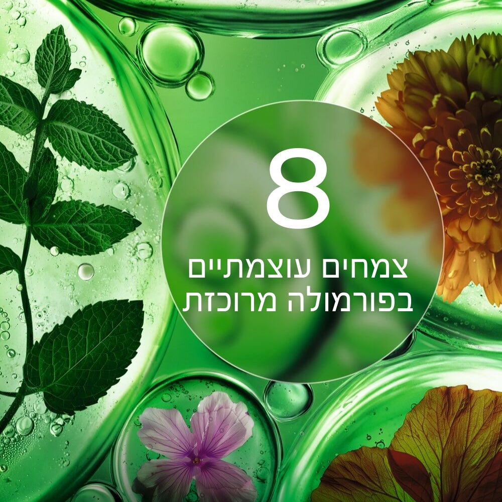 8 צמחים עוצמתיים בפורמולות מרוכזות